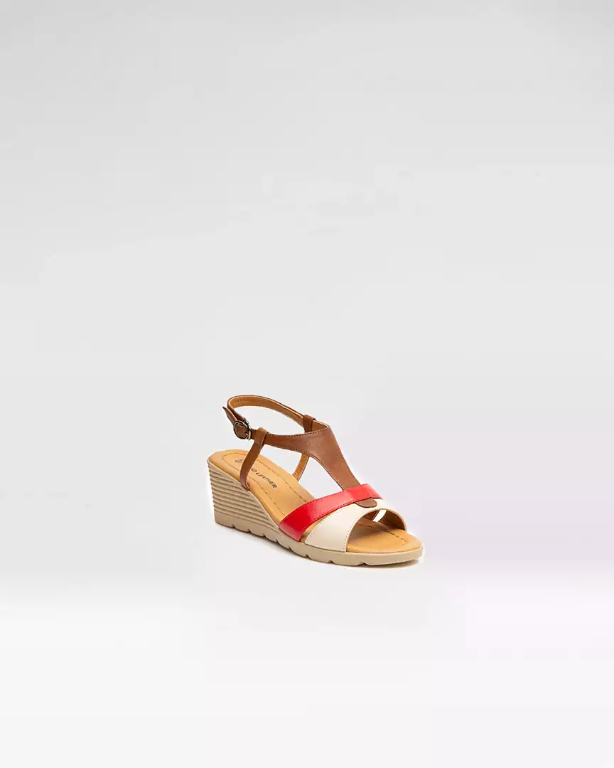 قهوه ای شبرو